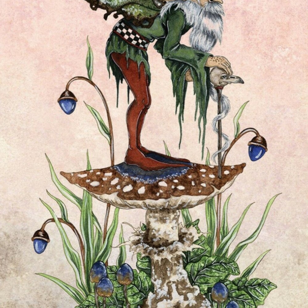 Fairy Wisdom Oracle Cards Deck Book Set Amy Brown - Picture 5 of 8